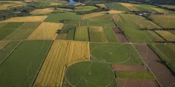 Aerial view of diverse U.S. agricultural fields, symbolizing national food production